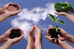 F sets up cupped hands held up against background of bb lue sky with clouds, holding soil, seed, earth, plant, pepper
